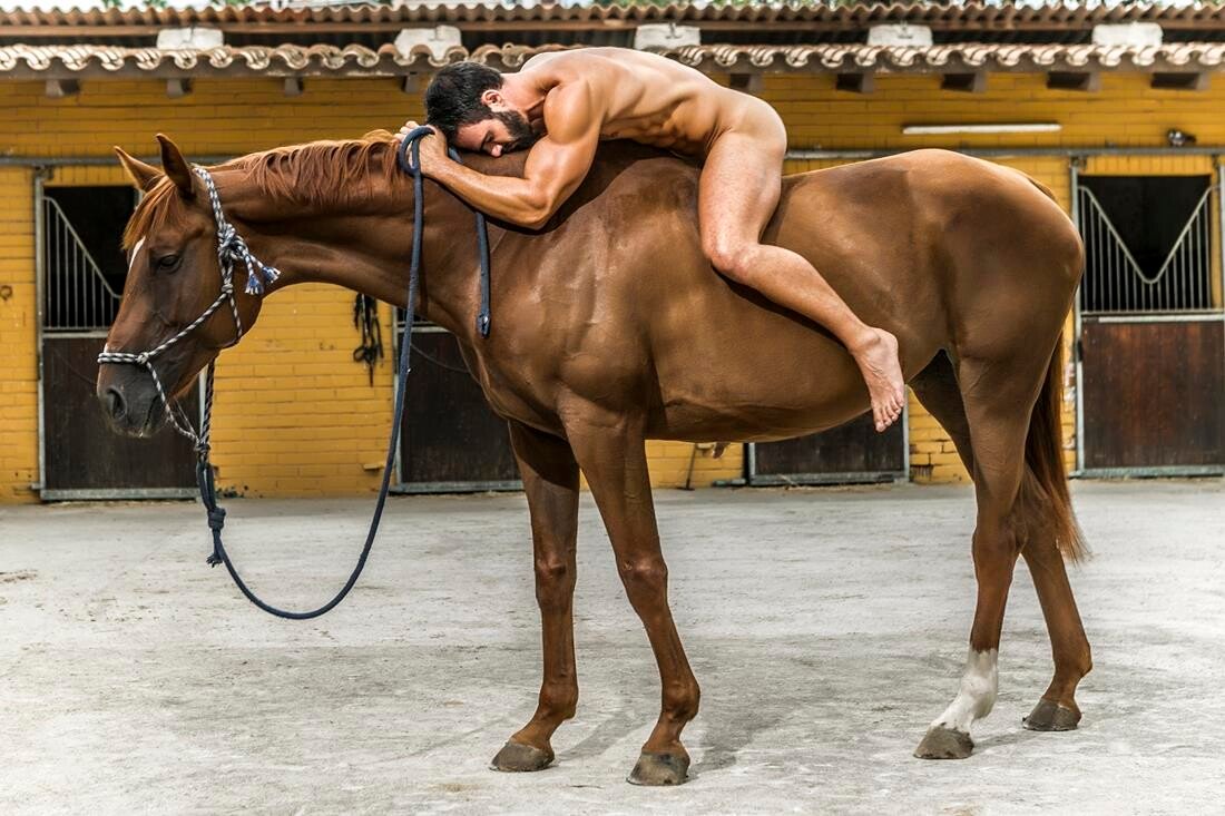 Caballo haciendo el amor con mujer